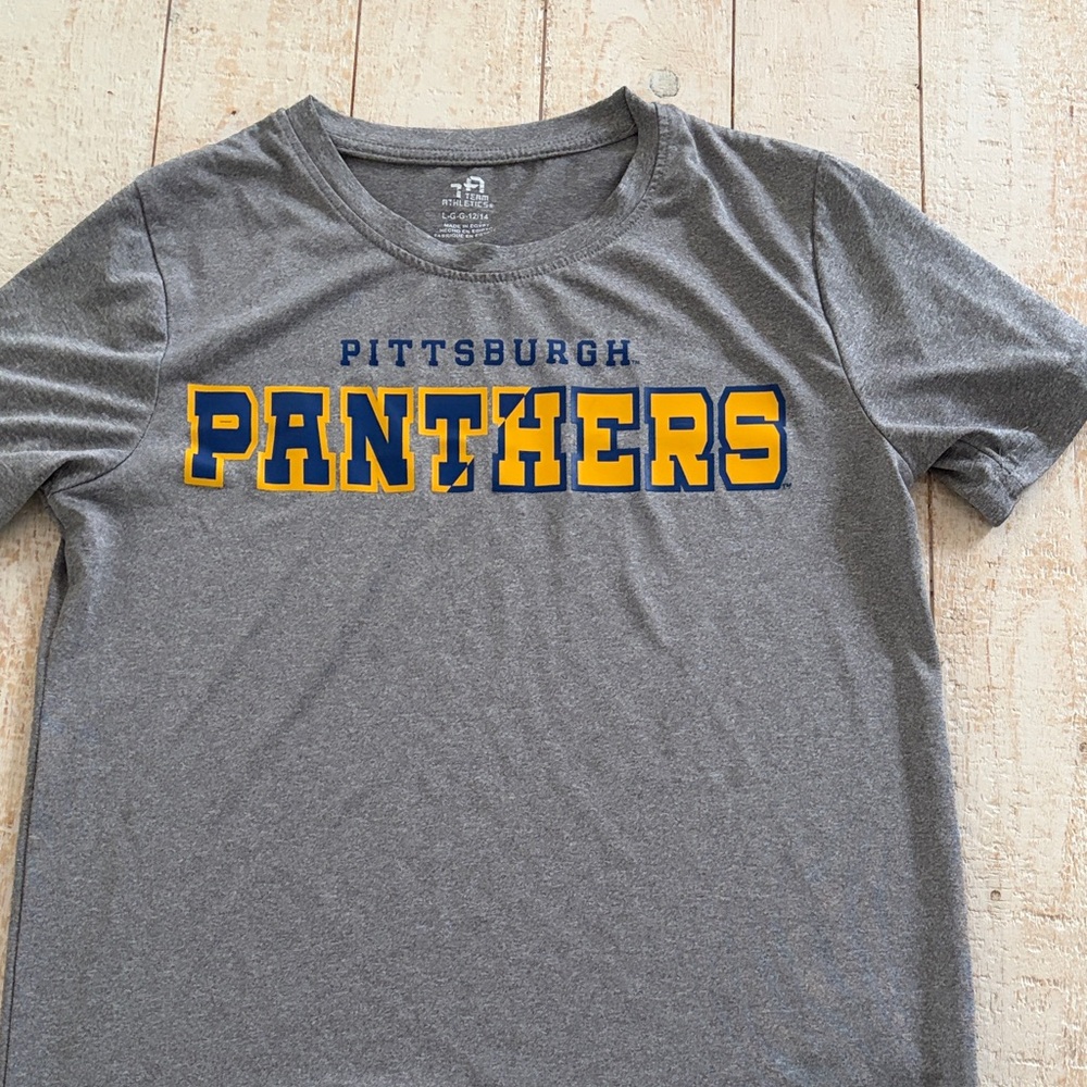 Gray Pittsburgh Panthers Youth T-Shirt